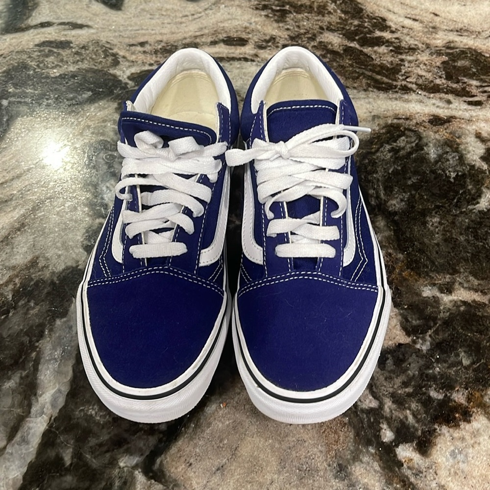 Vans Old Skool Navy Shoe